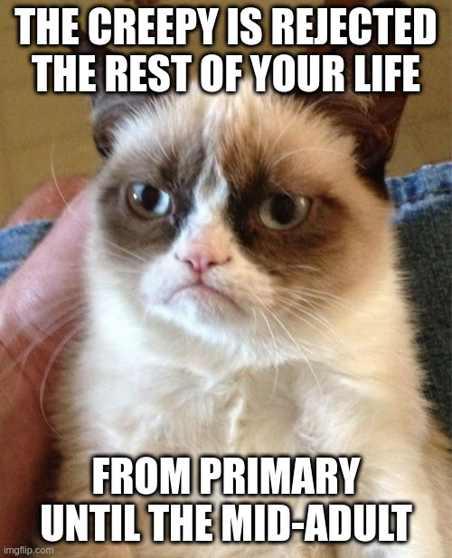 creepy | THE CREEPY IS REJECTED THE REST OF YOUR LIFE; FROM PRIMARY UNTIL THE MID-ADULT | image tagged in memes,grumpy cat | made w/ Imgflip meme maker