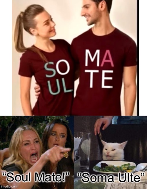 “Soul Mate!”; “Soma Ulte” | image tagged in memes,woman yelling at cat,funny,reading | made w/ Imgflip meme maker