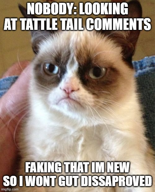 Grumpy Cat Meme | NOBODY: LOOKING AT TATTLE TAIL COMMENTS; FAKING THAT IM NEW SO I WONT GUT DISSAPROVED | image tagged in memes,grumpy cat | made w/ Imgflip meme maker