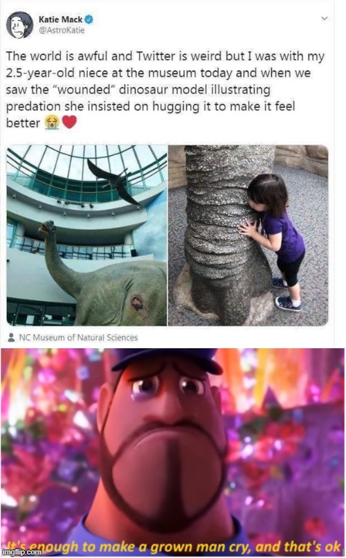 Hugs can do great amounts of good. | image tagged in it's enough to make a grown man cry and that's ok,memes,wholesome,wholesome content,funny,dinosaurs | made w/ Imgflip meme maker