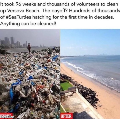 Wholesome beach clean up | image tagged in ocean,wholesome,wholesome content,repost,memes,funny | made w/ Imgflip meme maker