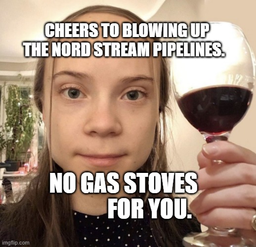 greta thunberg forehead | CHEERS TO BLOWING UP THE NORD STREAM PIPELINES. NO GAS STOVES             FOR YOU. | image tagged in greta thunberg forehead | made w/ Imgflip meme maker