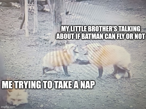 MY LITTLE BROTHER'S TALKING ABOUT IF BATMAN CAN FLY OR NOT; ME TRYING TO TAKE A NAP | image tagged in blank white template | made w/ Imgflip meme maker