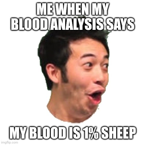 Poggers | ME WHEN MY BLOOD ANALYSIS SAYS; MY BLOOD IS 1% SHEEP | image tagged in poggers | made w/ Imgflip meme maker