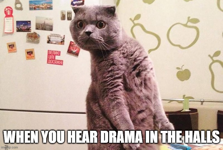 relatable??? | WHEN YOU HEAR DRAMA IN THE HALLS | image tagged in wut did you sayyyyyyy | made w/ Imgflip meme maker