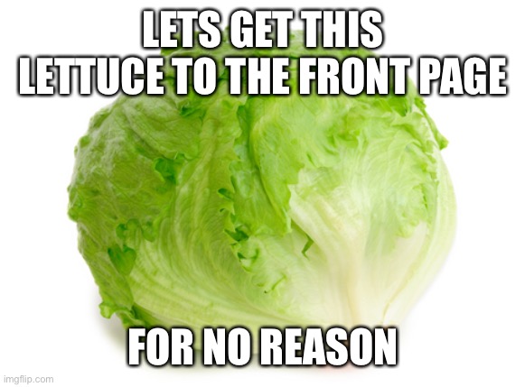 What a great day to not see lettuce- sike | LETS GET THIS LETTUCE TO THE FRONT PAGE; FOR NO REASON | image tagged in lettuce,upvote begging | made w/ Imgflip meme maker