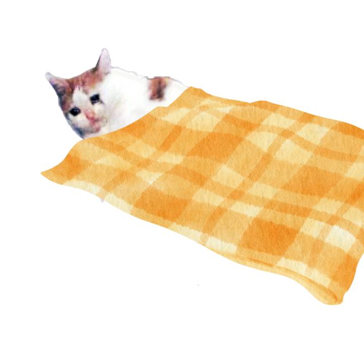 High Quality Lazy Cat Blank Meme Template