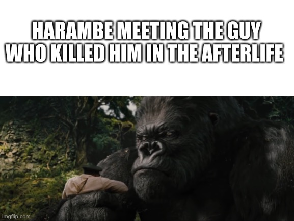 Harambe | HARAMBE MEETING THE GUY WHO KILLED HIM IN THE AFTERLIFE | image tagged in harambe | made w/ Imgflip meme maker