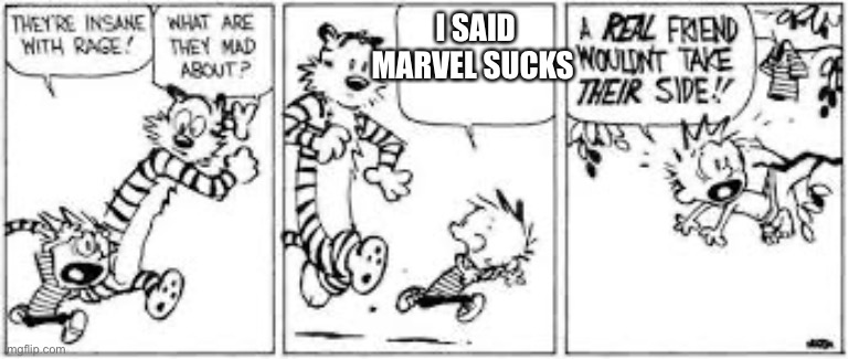 a real friend would take their side | I SAID MARVEL SUCKS | image tagged in a real friend wouldn t take their side blank,marvel,true | made w/ Imgflip meme maker