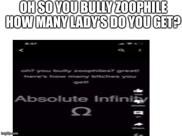 Anti zoophile | OH SO YOU BULLY ZOOPHILE HOW MANY LADY’S DO YOU GET? | image tagged in anti furry | made w/ Imgflip meme maker