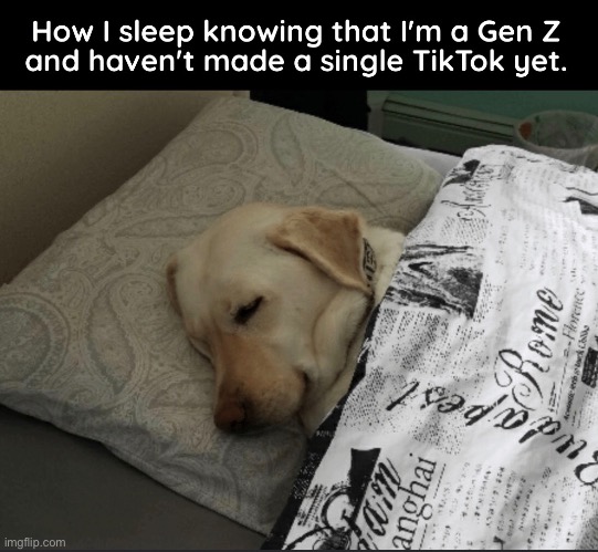 Peaceful sleep. | image tagged in gen z,sleep,dogs,tiktok sucks,memes,funny | made w/ Imgflip meme maker