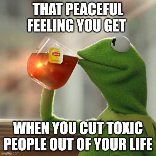 But That's None Of My Business Meme | THAT PEACEFUL FEELING YOU GET; WHEN YOU CUT TOXIC PEOPLE OUT OF YOUR LIFE | image tagged in memes,but that's none of my business,kermit the frog | made w/ Imgflip meme maker