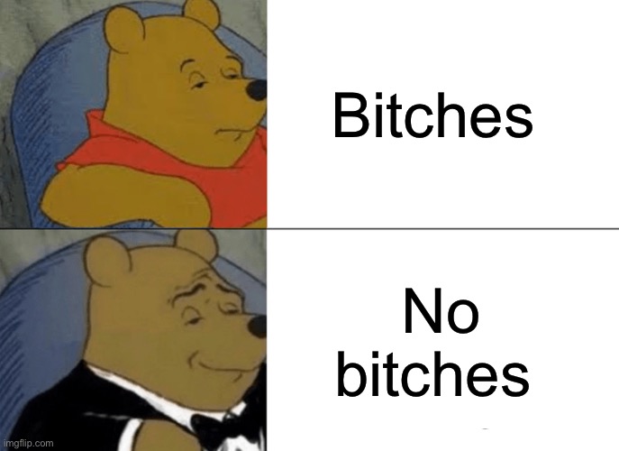 Tuxedo Winnie The Pooh | Bitches; No bitches | image tagged in memes,tuxedo winnie the pooh | made w/ Imgflip meme maker