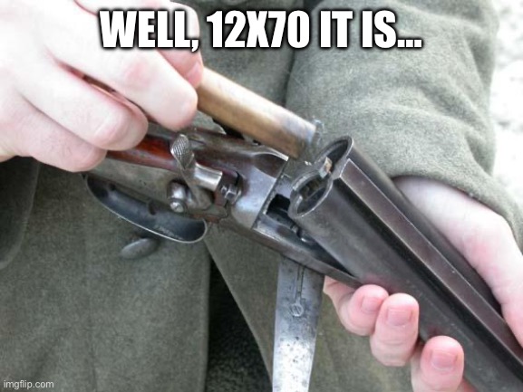 Shotgun Loading | WELL, 12X70 IT IS… | image tagged in shotgun loading | made w/ Imgflip meme maker