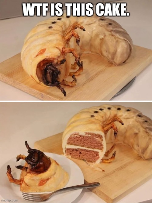 Wtf is this cake | WTF IS THIS CAKE. | image tagged in gross,food,eww,cake,memes,wtf | made w/ Imgflip meme maker