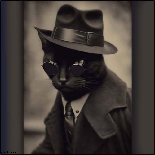 One Cool Cat In A Hat ! | image tagged in cats,cool | made w/ Imgflip meme maker