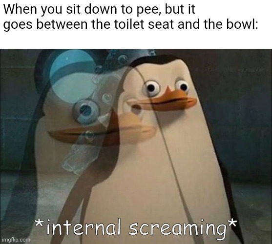 Only boys will understand | When you sit down to pee, but it goes between the toilet seat and the bowl: | image tagged in private internal screaming | made w/ Imgflip meme maker