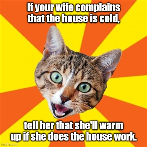 Try it. | If your wife complains that the house is cold, tell her that she'll warm up if she does the house work. | image tagged in memes,bad advice cat,funny | made w/ Imgflip meme maker