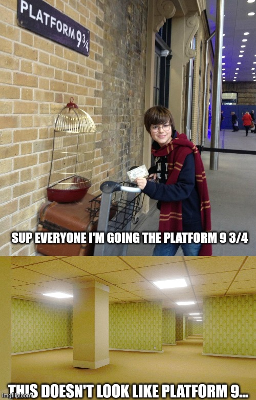 Title | SUP EVERYONE I'M GOING THE PLATFORM 9 3/4; THIS DOESN'T LOOK LIKE PLATFORM 9... | image tagged in memes,harry potter,backrooms | made w/ Imgflip meme maker