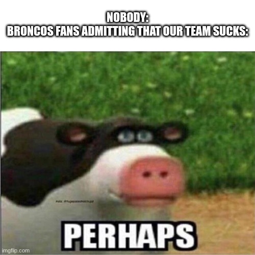*sad broncos country* | NOBODY:
BRONCOS FANS ADMITTING THAT OUR TEAM SUCKS: | image tagged in perhaps cow | made w/ Imgflip meme maker