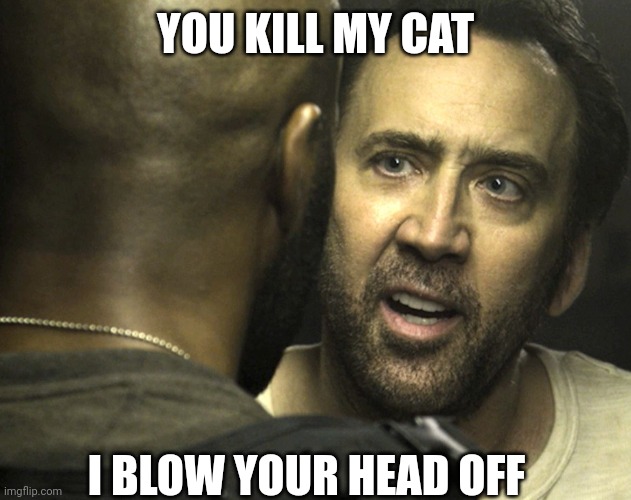 YOU KILL MY CAT; I BLOW YOUR HEAD OFF | image tagged in nicolas cage,cats,cat,crazy nick cage | made w/ Imgflip meme maker