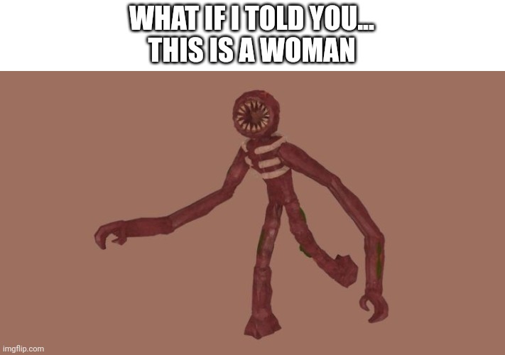 WHAT IF I TOLD YOU...
THIS IS A WOMAN | made w/ Imgflip meme maker