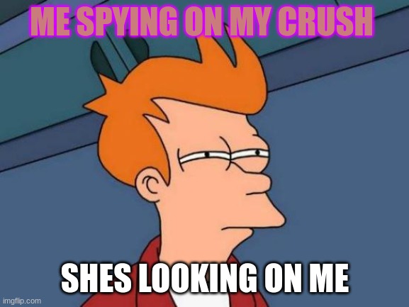 funny | ME SPYING ON MY CRUSH; SHES LOOKING ON ME | image tagged in memes,futurama fry | made w/ Imgflip meme maker
