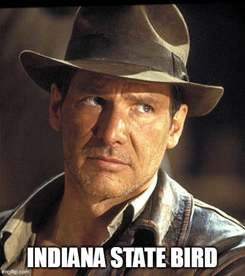 Indiana jones | INDIANA STATE BIRD | image tagged in indiana jones | made w/ Imgflip meme maker