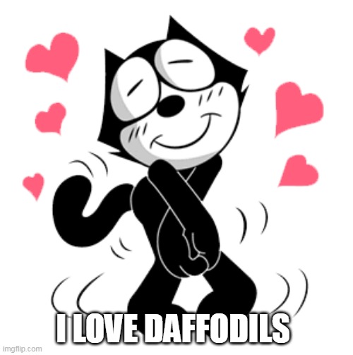 felix in love | I LOVE DAFFODILS | image tagged in felix in love | made w/ Imgflip meme maker