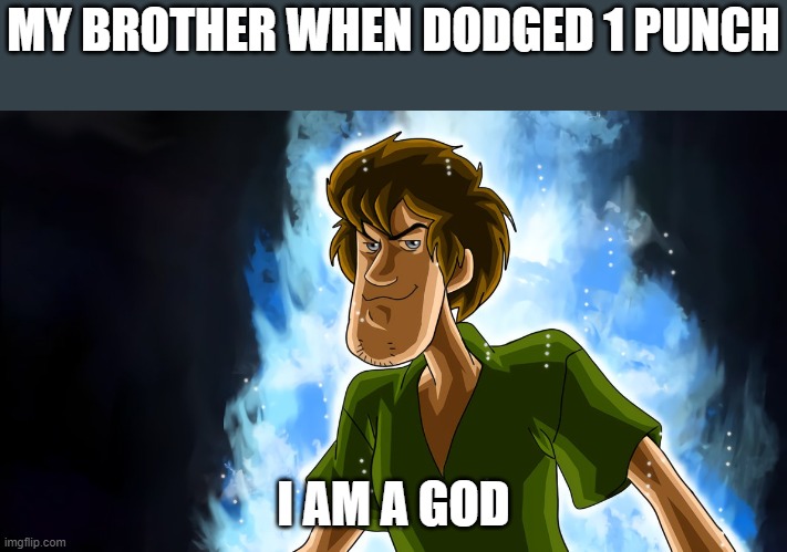 Ultra instinct shaggy | MY BROTHER WHEN DODGED 1 PUNCH; I AM A GOD | image tagged in ultra instinct shaggy | made w/ Imgflip meme maker