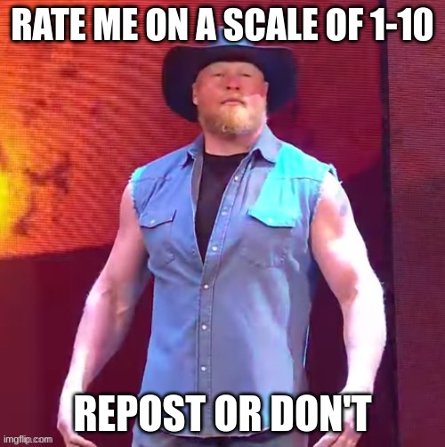 garbage quality | RATE ME ON A SCALE OF 1-10; REPOST OR DON'T | image tagged in cowboy brock lesnar | made w/ Imgflip meme maker