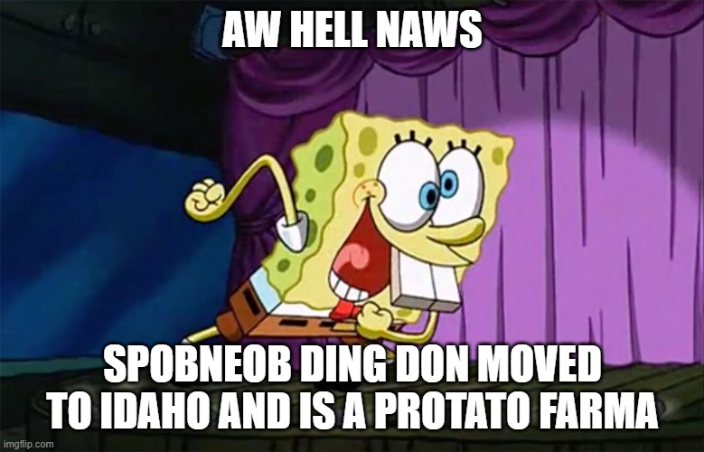 Howdy yall | AW HELL NAWS; SPOBNEOB DING DON MOVED TO IDAHO AND IS A PROTATO FARMA | image tagged in spongebob | made w/ Imgflip meme maker