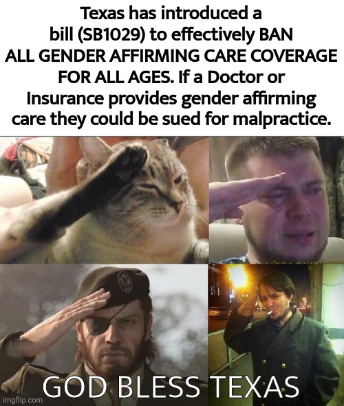 God bless Texas. | Texas has introduced a bill (SB1029) to effectively BAN ALL GENDER AFFIRMING CARE COVERAGE FOR ALL AGES. If a Doctor or Insurance provides gender affirming care they could be sued for malpractice. GOD BLESS TEXAS | image tagged in ozon's salute | made w/ Imgflip meme maker