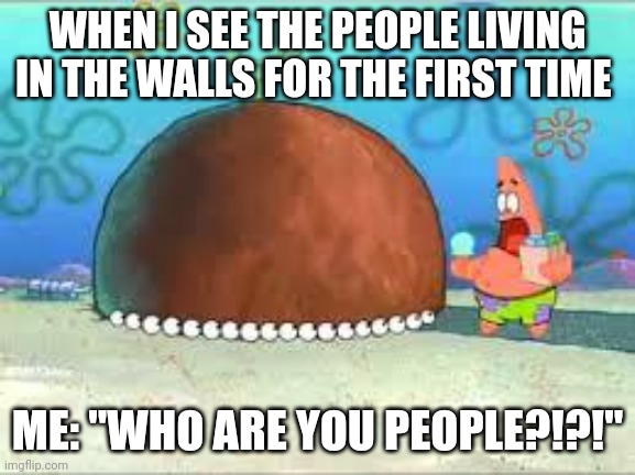 Wall people!!!!! | WHEN I SEE THE PEOPLE LIVING IN THE WALLS FOR THE FIRST TIME; ME: "WHO ARE YOU PEOPLE?!?!" | image tagged in who are you people | made w/ Imgflip meme maker