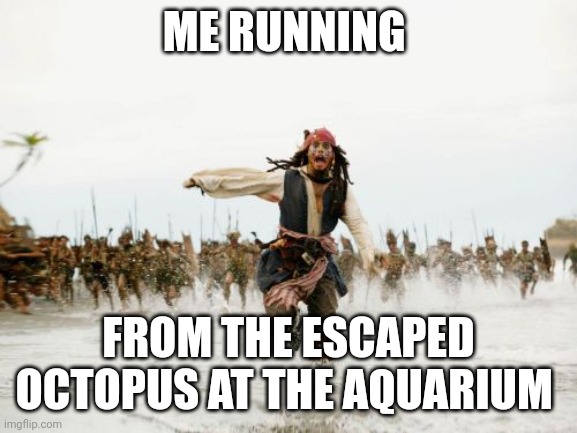 This happened to me once | ME RUNNING; FROM THE ESCAPED OCTOPUS AT THE AQUARIUM | image tagged in memes,jack sparrow being chased | made w/ Imgflip meme maker