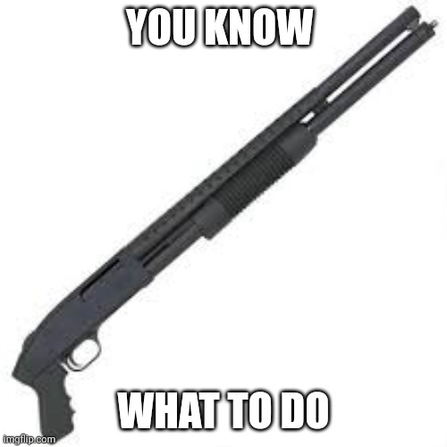 Shotgun | YOU KNOW WHAT TO DO | image tagged in shotgun | made w/ Imgflip meme maker