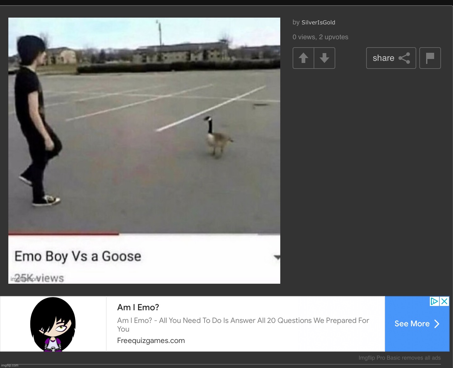 cinna vs a goose real | made w/ Imgflip meme maker