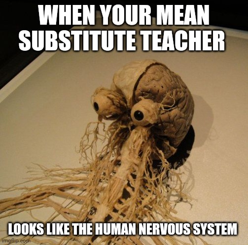 My Sub looks like the human nervous system | WHEN YOUR MEAN SUBSTITUTE TEACHER; LOOKS LIKE THE HUMAN NERVOUS SYSTEM | image tagged in nervous system | made w/ Imgflip meme maker
