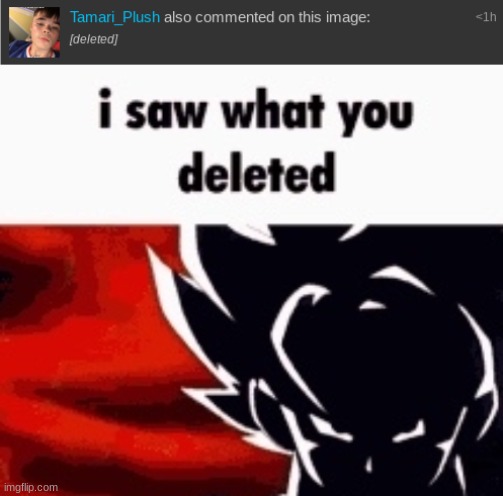 image tagged in i saw what you deleted | made w/ Imgflip meme maker
