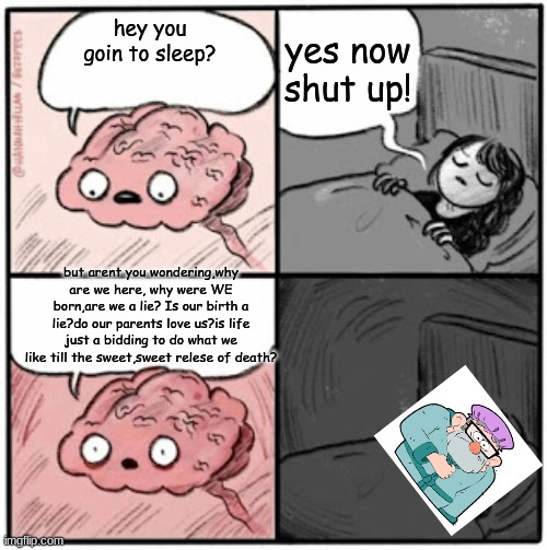 Brain Before Sleep | yes now shut up! hey you goin to sleep? but arent you wondering,why are we here, why were WE born,are we a lie? Is our birth a lie?do our parents love us?is life just a bidding to do what we like till the sweet,sweet relese of death? | image tagged in brain before sleep | made w/ Imgflip meme maker