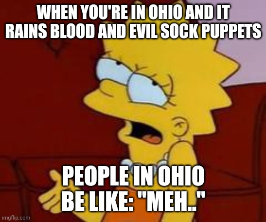 Ohio be insane!!!! | WHEN YOU'RE IN OHIO AND IT RAINS BLOOD AND EVIL SOCK PUPPETS; PEOPLE IN OHIO BE LIKE: "MEH.." | image tagged in meh | made w/ Imgflip meme maker