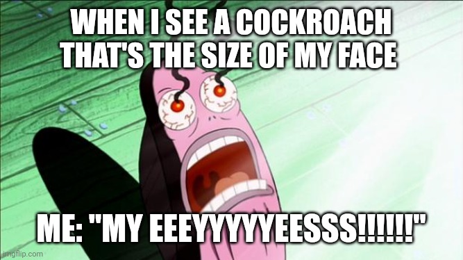 I no laek cockroach | WHEN I SEE A COCKROACH THAT'S THE SIZE OF MY FACE; ME: "MY EEEYYYYYEESSS!!!!!!" | image tagged in spongebob my eyes | made w/ Imgflip meme maker