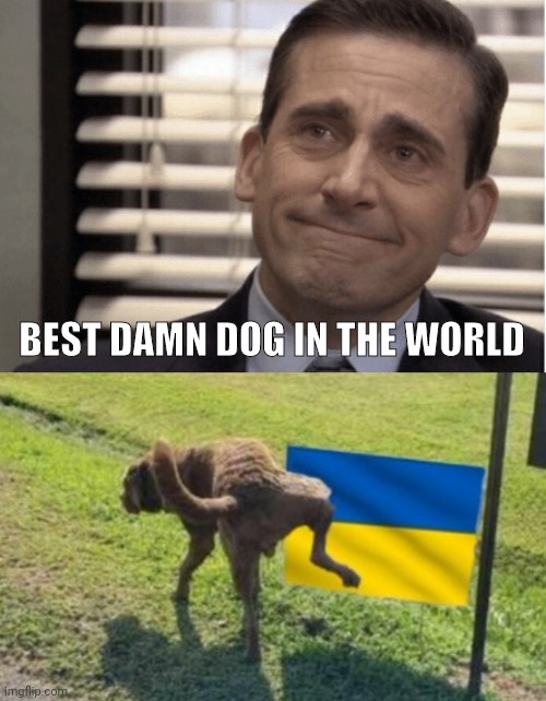 Good boy. | BEST DAMN DOG IN THE WORLD | image tagged in proudness | made w/ Imgflip meme maker