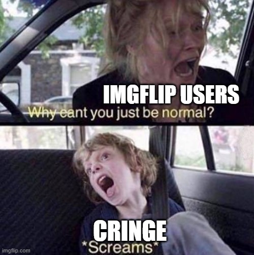 Why Can't You Just Be Normal | IMGFLIP USERS; CRINGE | image tagged in why can't you just be normal | made w/ Imgflip meme maker