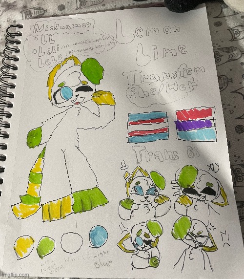 My oc LemonLime :D (My friend is currently making a mask, tail, and paws based off of her design!) | image tagged in drawing,furry,ocs,cat,dogs | made w/ Imgflip meme maker