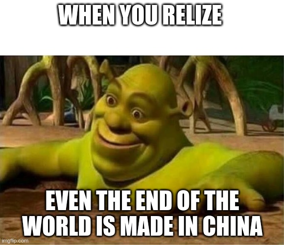 shrek | WHEN YOU RELIZE; EVEN THE END OF THE WORLD IS MADE IN CHINA | image tagged in shrek | made w/ Imgflip meme maker