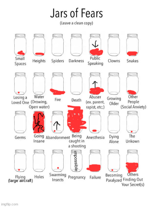 I hate everyone equally :) | impossible; (large aircraft) | image tagged in jar of fears clear version | made w/ Imgflip meme maker
