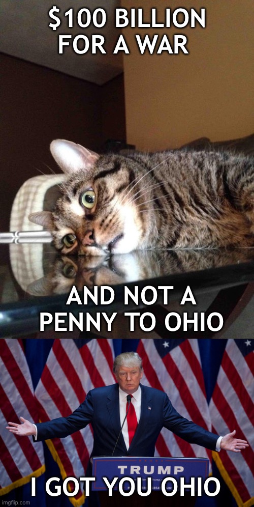 At least trump is going? | $100 BILLION FOR A WAR; AND NOT A PENNY TO OHIO; I GOT YOU OHIO | image tagged in existential crisis cat,donald trump | made w/ Imgflip meme maker