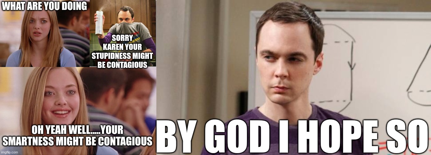 SheldonVsKaren | SORRY KAREN YOUR STUPIDNESS MIGHT BE CONTAGIOUS; WHAT ARE YOU DOING; OH YEAH WELL.....YOUR SMARTNESS MIGHT BE CONTAGIOUS; BY GOD I HOPE SO | image tagged in memes,omg karen,air freshener sheldon cooper,on wednesdays we wear pink,angry sheldon cooper | made w/ Imgflip meme maker