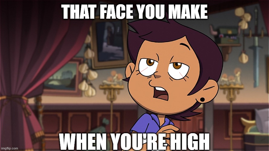 THAT FACE YOU MAKE; WHEN YOU'RE HIGH | image tagged in the owl house,too damn high,luz | made w/ Imgflip meme maker
